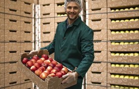 food contact packaging