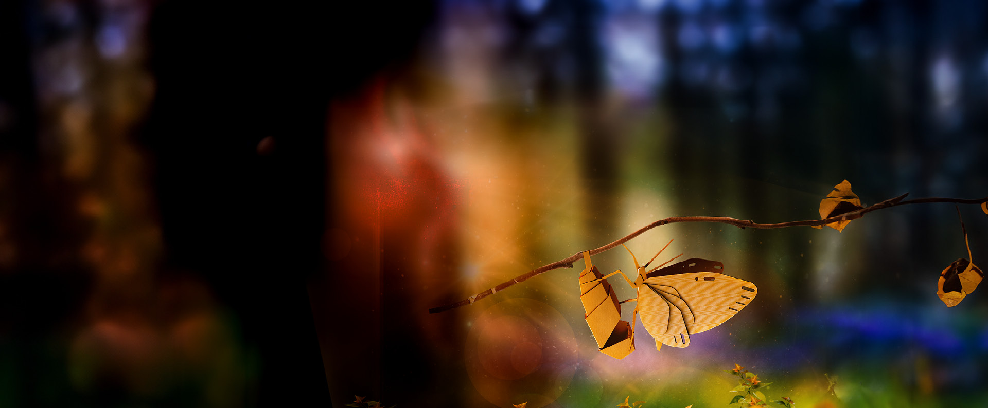 BPP Butterfly Landing Page Banner