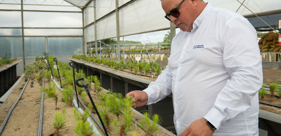 Greenhouse worker