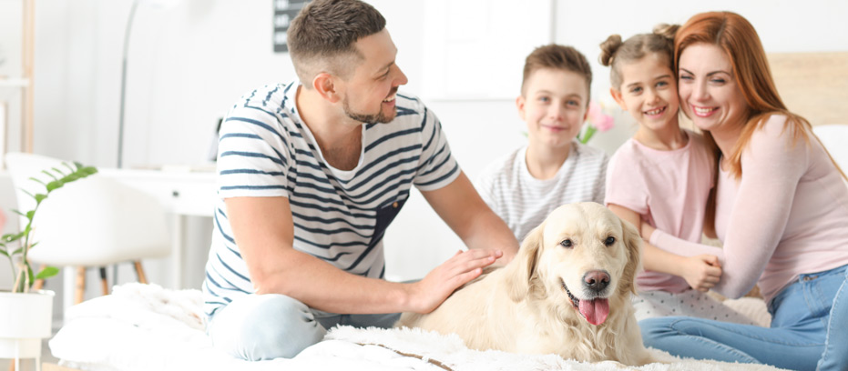 premium pet food packaging