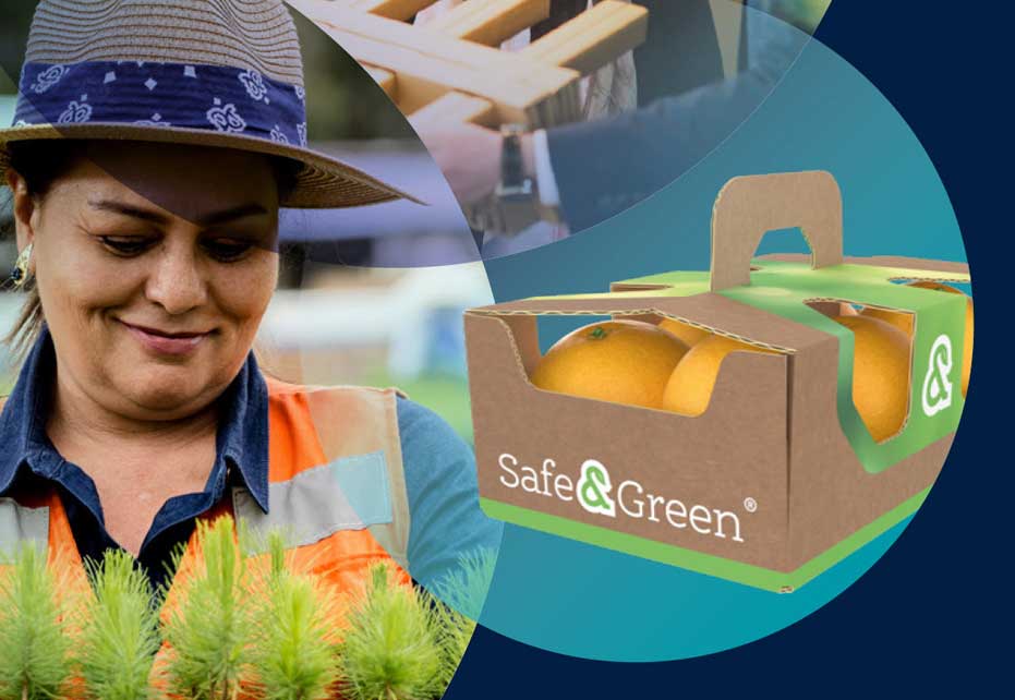 Smurfit Kappa Announces the Launch of its Inaugural Green Bond Offering