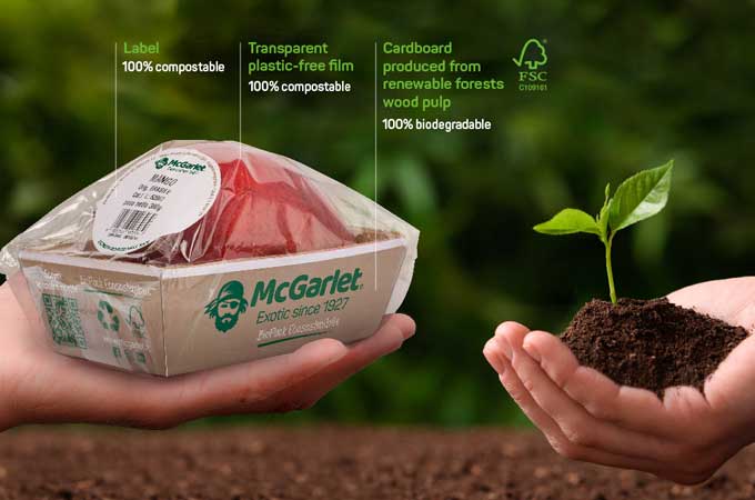 McGarlet Success Story