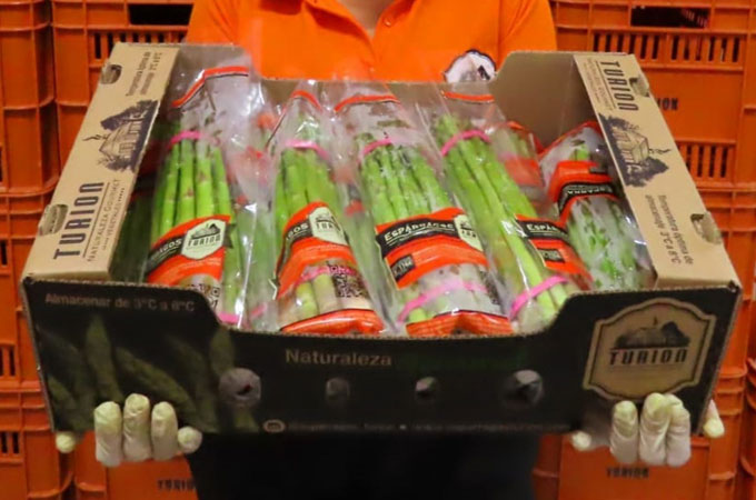 Vegetable Packaging